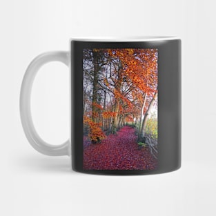 Autumnal Westridge Woods, Cotswolds Mug